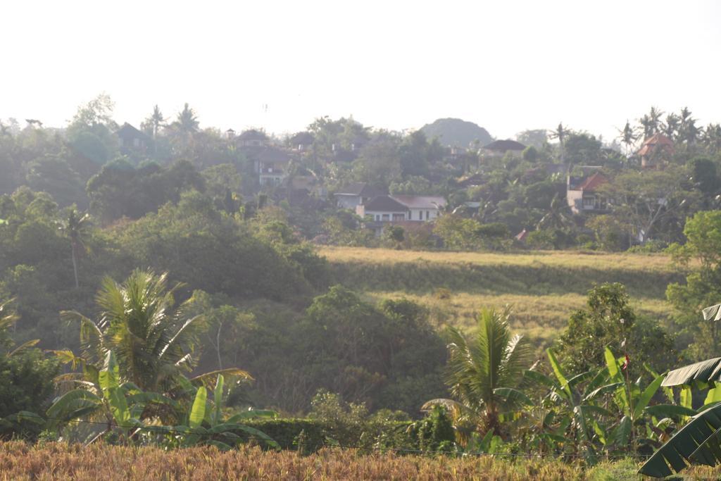 Nur Guest House By Purely Ubud Kültér fotó