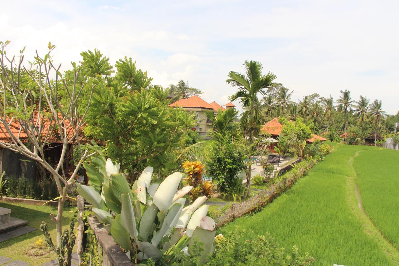 Nur Guest House By Purely Ubud Kültér fotó