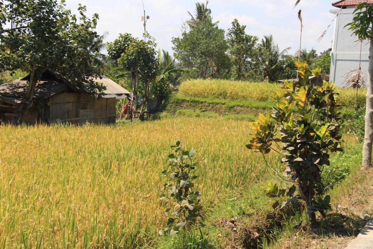 Nur Guest House By Purely Ubud Kültér fotó